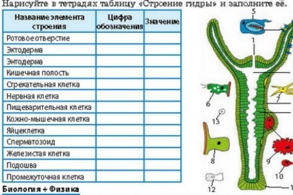 Ссылка на кракен лукойл
